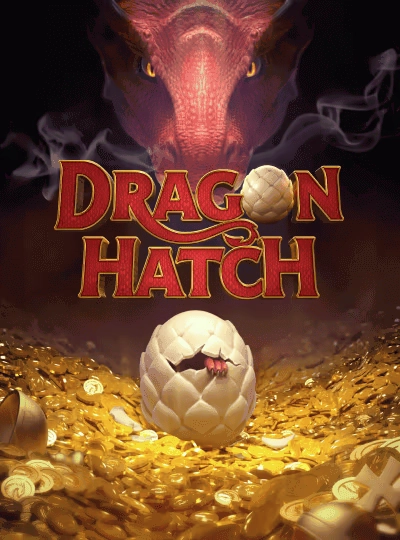 Cricket match winner betting game cover